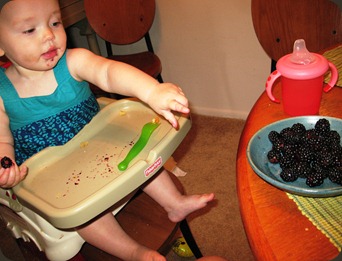 IMG_2916 IMG_2916