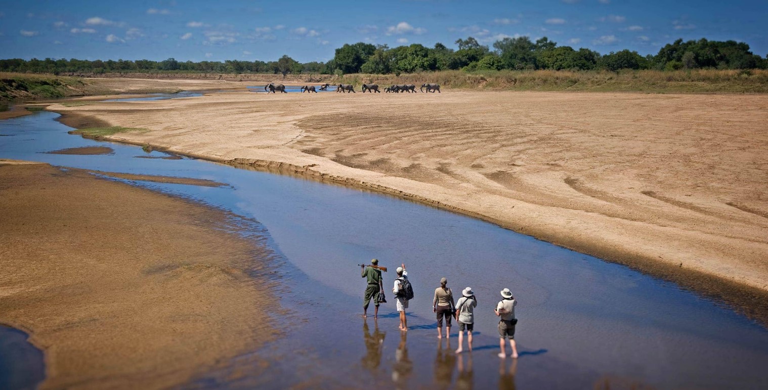 South Luangwa National Park, Zambia