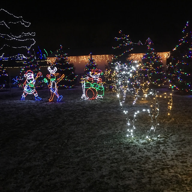 Holiday Light fun at Lilacia Park