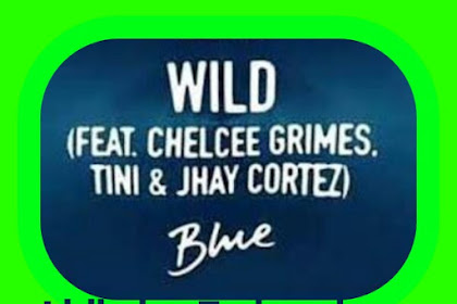 Lirik Lagu dan Terjemahan  Wild - Jonas Blue feat. Chelcee Grimes, TINI & Jhay Cortez