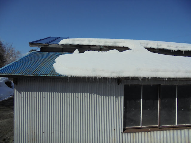 道路際の建物にも雪が積もり氷柱が