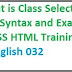 What is Class Selector and Syntax and Example in CSS HTML Training -- English