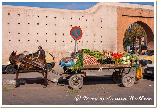 Marrakech-5