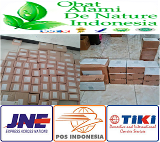 Paket pengiriman de nature