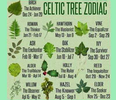 Celtic Tree Zodiac