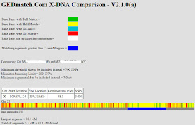 X-DNA chromosome browser