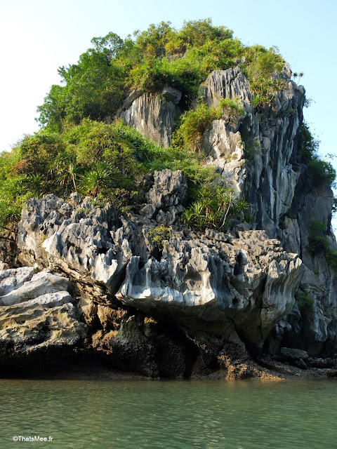 rocher baie halong voyage vietnam tour bateau par cat ba, mer montagne paysage vietnam