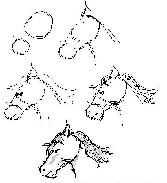 draw horse. Ride a horse gives many