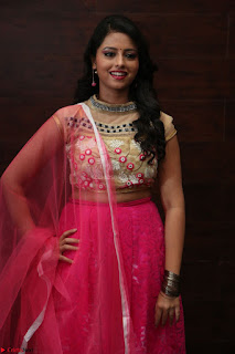 Geethanjali sizzles in Pink at Mixture Potlam Movie Audio Launch 051.JPG