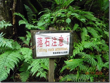 DSCN7620