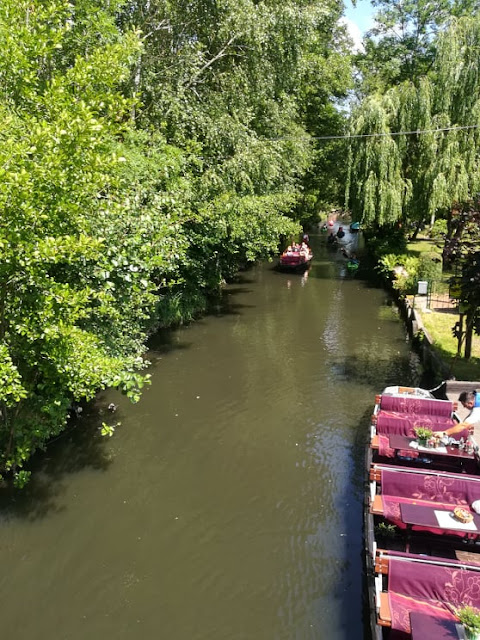 Spreewald - Brandenburgia jak z obrazka.