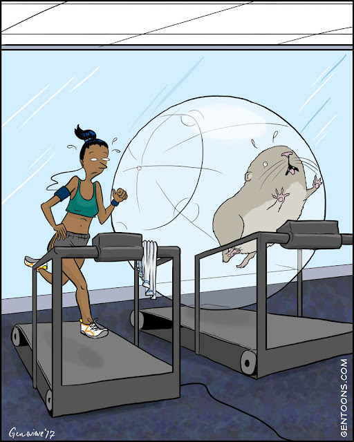 woman running on a treadmill. next to her, also  on a treadmill, is a mega hamster in an exercise ball.