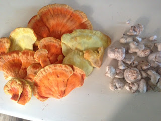 chicken mushroom and aborted entoloma