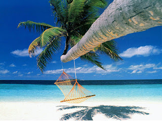 hammock on the beach, relaxing