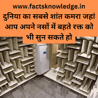 today facts in hindi, top 10 interesting facts in hindi, 1000 amazing facts in hindi,  interesting facts in hindi pdf, daily facts in hindi, amazing facts in hindi 2023,  amazing facts in hindi about world, 20 amazing facts in hindi, weird facts