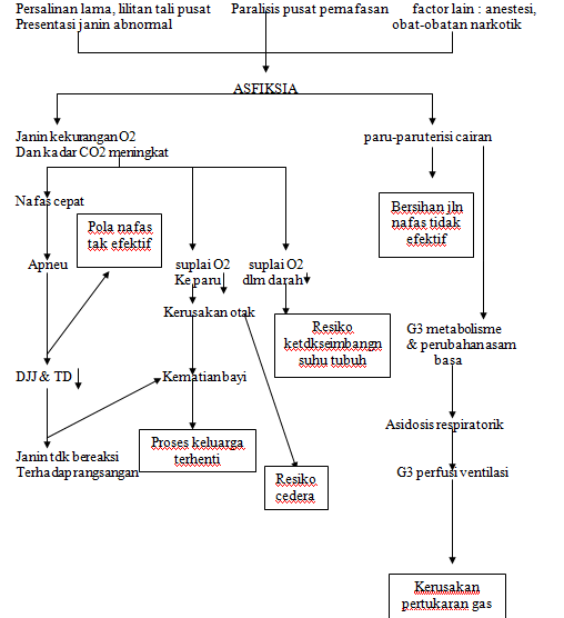 PATHWAY ASFIKSIA NEONATORUM world health