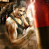 Mary Kom box office collection: Rs 30 crore!