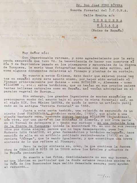 Carta (anverso) que a finales de 1975 Laurent Minoux dirige a José Pino Rivera. Fuente Archivo de José Pino Rivera.nverso).
