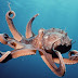 Octopuses have three hearts, nine brains, and blue blood