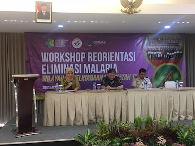 Workshop Reorientasi Eliminasi Malaria (Wilayah Pemeliharaan) Angkatan 1 Tahun 2019