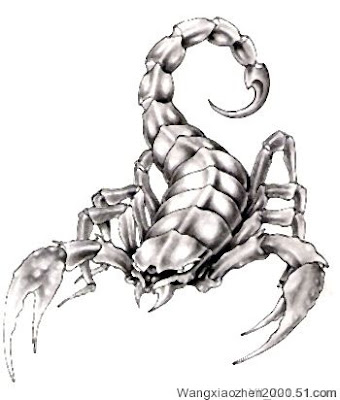 scorpian tattoos. Scorpion tattoo pictures