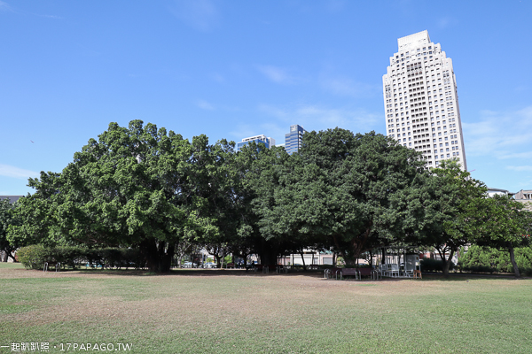 台中西屯|惠來公園|環保公園|惠來大榕公|美好書席|陽光草坪|親子公園