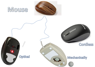 Example of Input Device, Mouse
