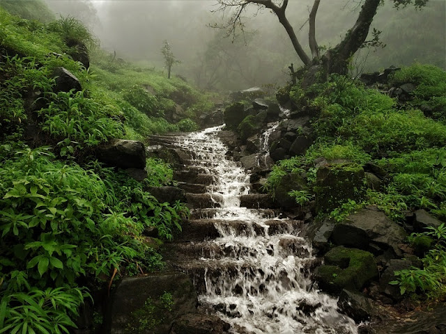 Waterfall in Koraigad fort