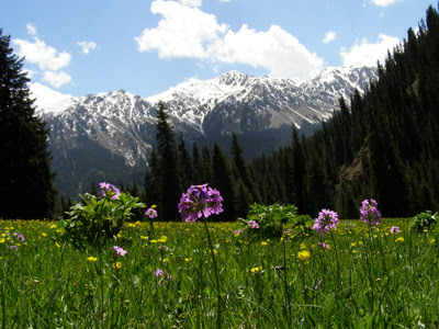 kyrgyzstan tours 2014, kyrgyzstan art craft