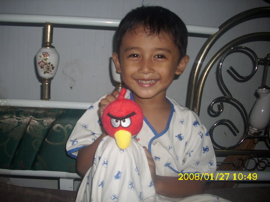 Angry Birds Bird Plush Toy Doll