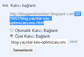 Blog Yayınları SEO Optimizasyonu