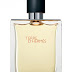 Terre d'Hermes Hermes for men