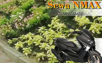 Sewa sepeda motor Yamaha N-Max Jl. Taman Sari - ITB, BNI Bandung