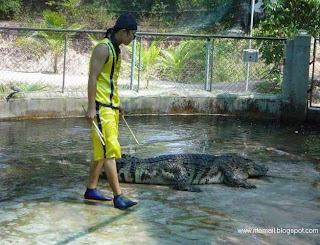 Crocodile Hunter [www.ritemail.blogspot.com]