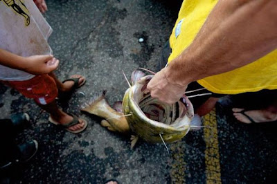 Okie Noodling Tournament Seen On www.coolpicturegallery.net