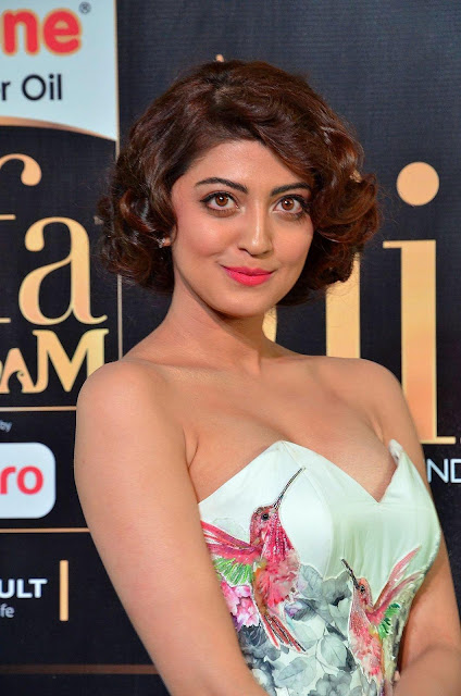 Pranitha Subhash At The IIFA Utsavam Awards 2017