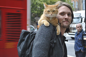 Bob, seekor kucing yang mengubah hidup seorang anak jalanan menjadi seorang penulis buku best seller di Inggris
