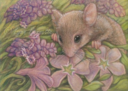 Spring Flower Picture on Art By Lynn Bonnette   Purple Spring Flowers   Mouse