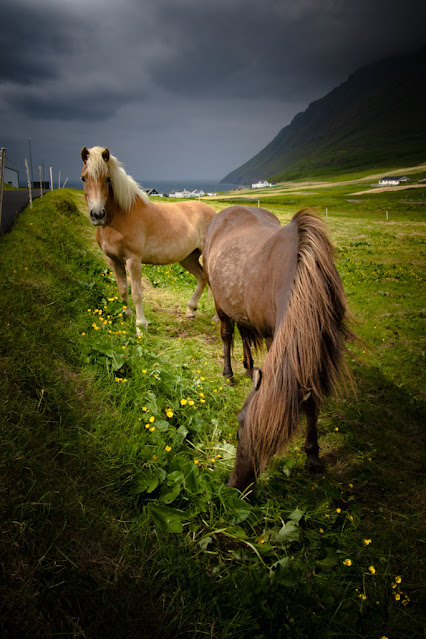 Panorama lungo la strada 70 per Viðareiði