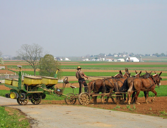 Amish farmer planting seed