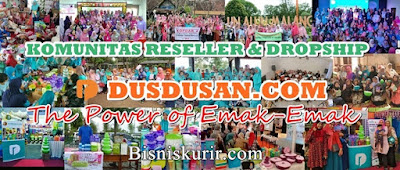 Peluang bisnis reseller dan dropship dusdusan.com