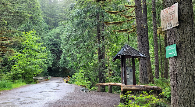 View of one way bridge and the information sign at Nooksack Falls