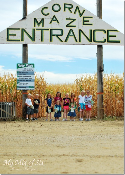 Pumpkin Patch14