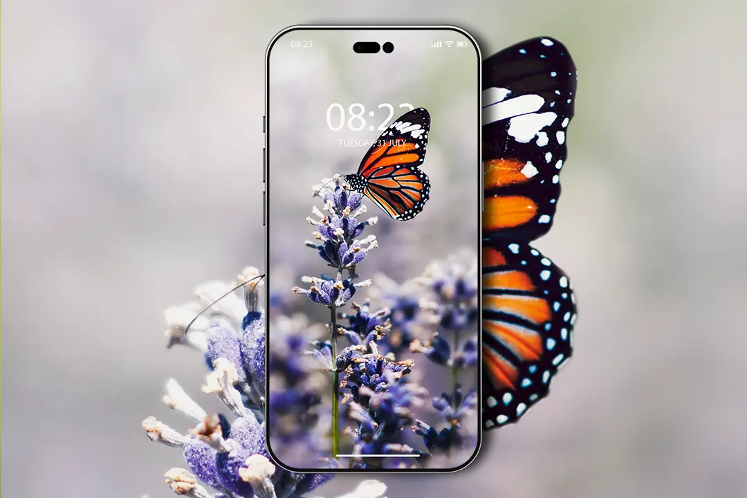 Butterfly iphone 876s6 for parallax wallpapers hd desktop backgrounds  938x1668 images and pictures