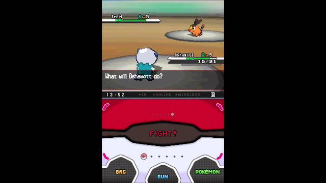 Pokemon Black Version Screenshot-2