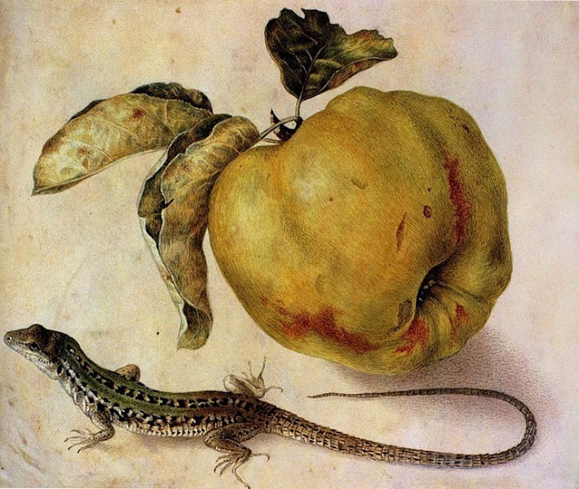 Giovanna Garzoni (1600-1670) Natura morta con mela e lucertola, 1645 Tempera su pergamena Collezione privata.