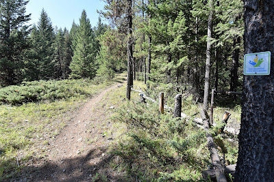 Elk Valley Trail British Columbia.