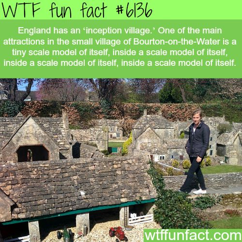 40 Amazing Random WTF Facts