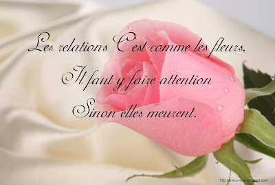 proverbe_image