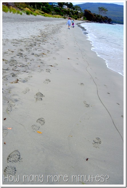Walk to Grass Point, Bruny Island, TAS ~ How Many More Minutes?